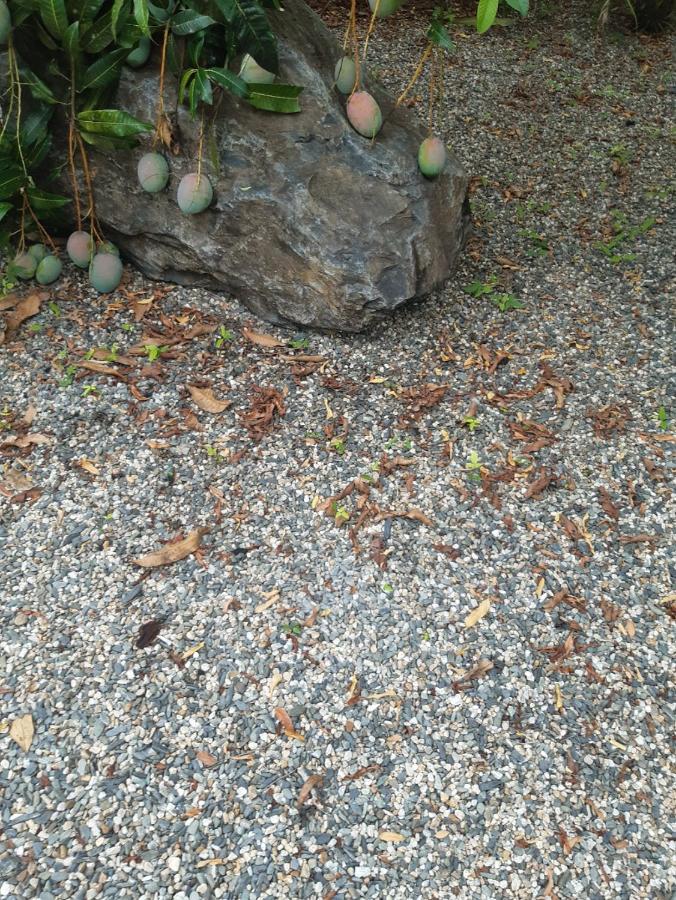 Travellers Paradise Cairns Luaran gambar Gravel