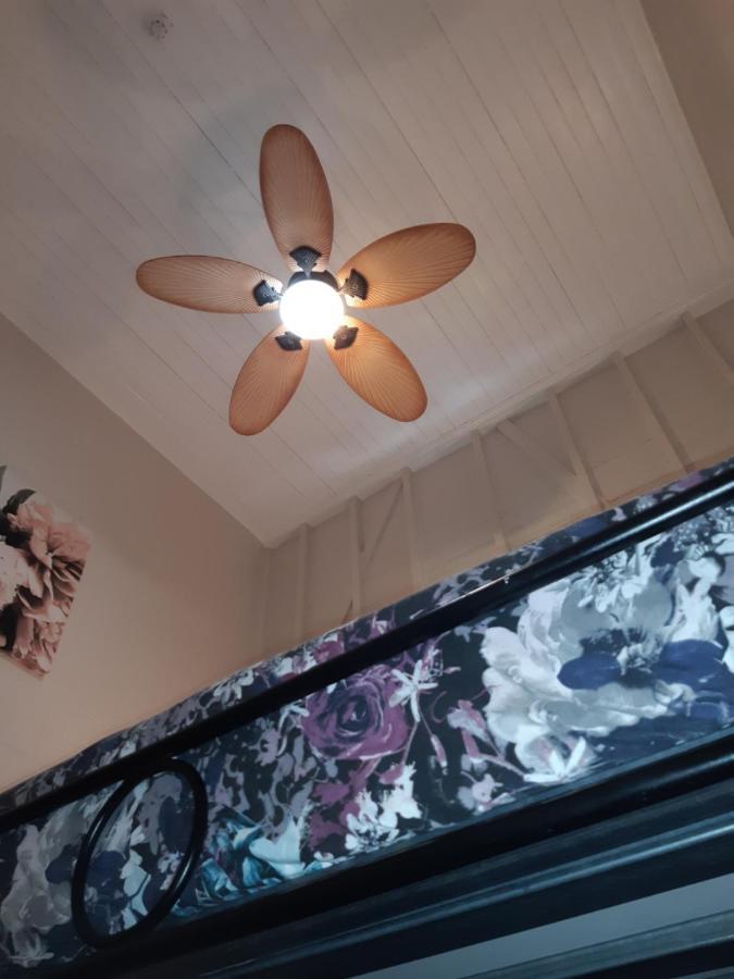 Travellers Paradise Cairns Luaran gambar A ceiling fan with a light kit
