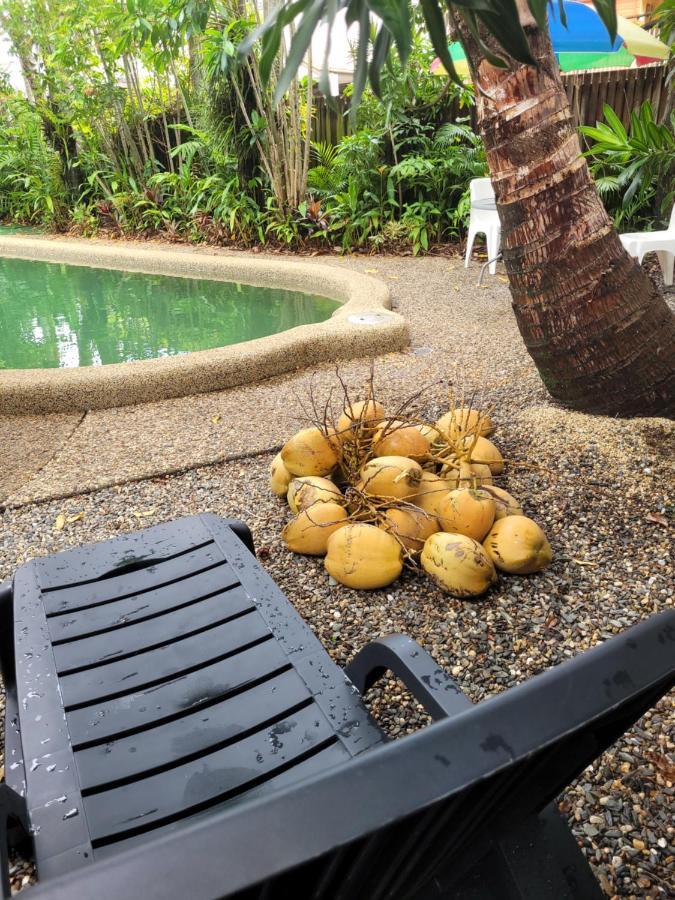 Travellers Paradise Cairns Luaran gambar Coconuts at a pool in Fiji