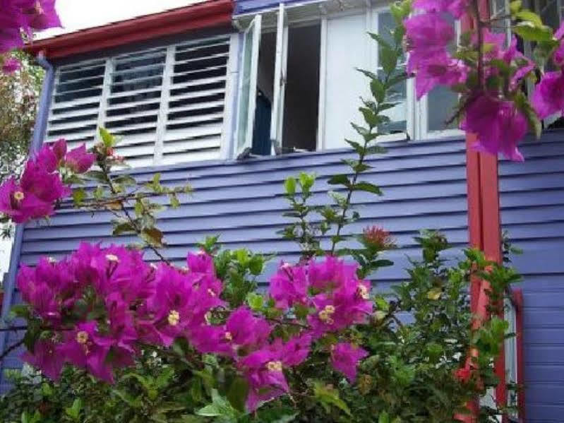 Travellers Paradise Cairns Luaran gambar Bougainvillea